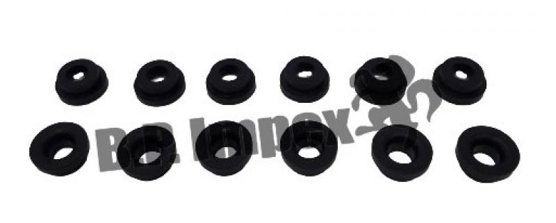 RUBBER BUSH