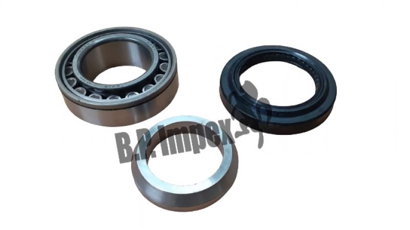 Rear Axel Shaft Bearing Kit