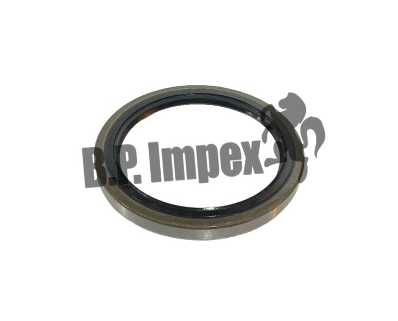 Oil Seal in Rub Casing