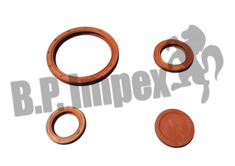 Engine Overhaul Oil seal Kit