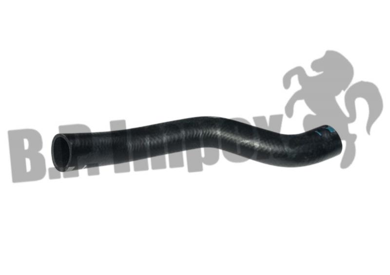 RAD. BOTTOM HOSE
